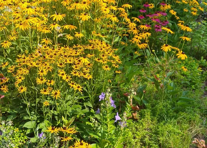 Διαμέρισμα Gemuetliche Koelner Norden Κολωνία