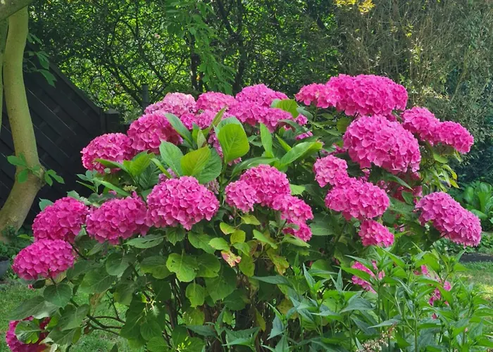 Gemütliche Kölner Norden *