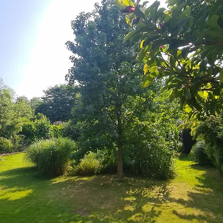 Gemuetliche Koelner Norden Appartement Cologne
