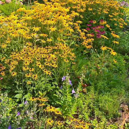 Lägenhet Gemuetliche Koelner Norden Köln